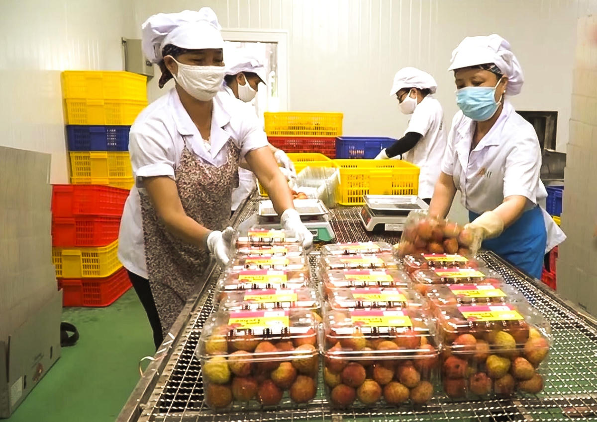 Nông sản Việt chinh phục thế giới