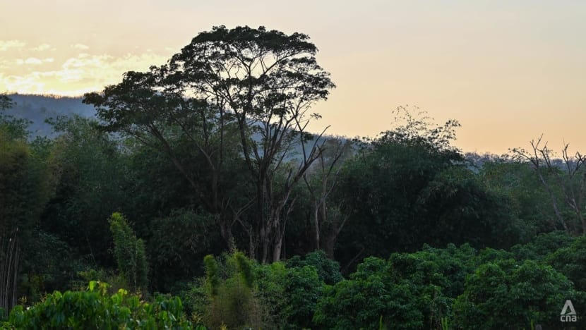 Khu đất ở quận Hot dự kiến ​​sẽ bị bao phủ bởi đống đổ nát khi đường hầm dẫn nước được xây dựng. Ảnh: CNA.