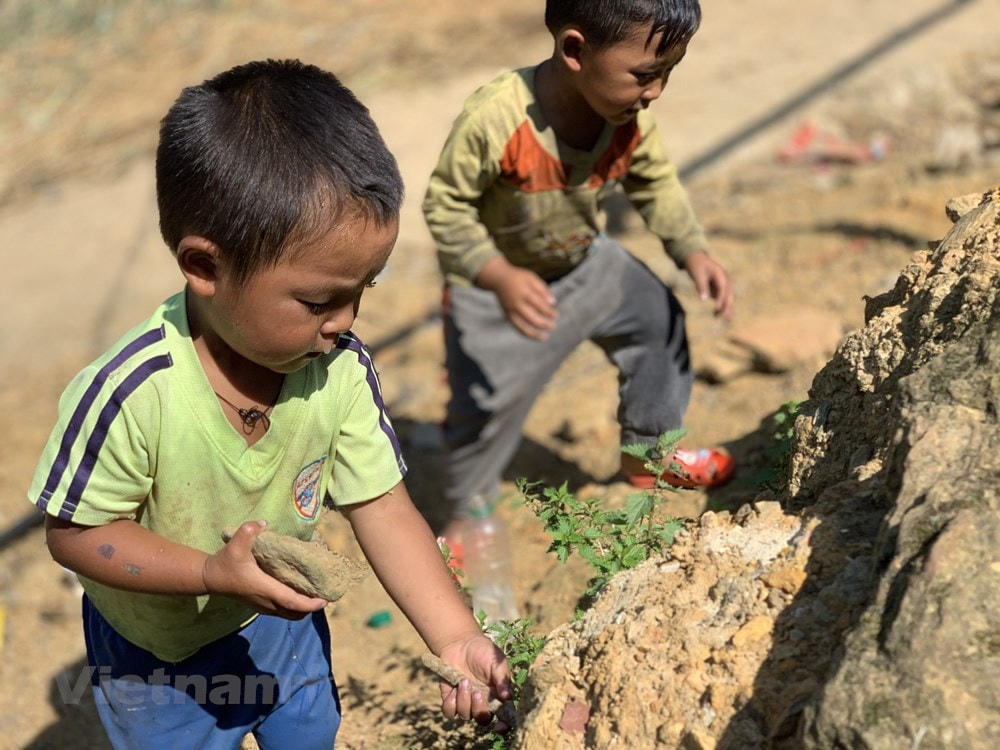 Còn những đứa trẻ ở Y Tý (Lào Cai) ít điều kiện hơn thì dù có trưa nắng chói chang cũng rủ nhau ra đồng đào hang dế... Ảnh: Mai Mai/Vietnam+.  