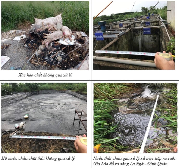 Hình ảnh vi phạm của 2 trại heo được cơ quan Công an huyện Xuân Lộc tổng hợp. Ảnh: Công an Xuân Lộc.
