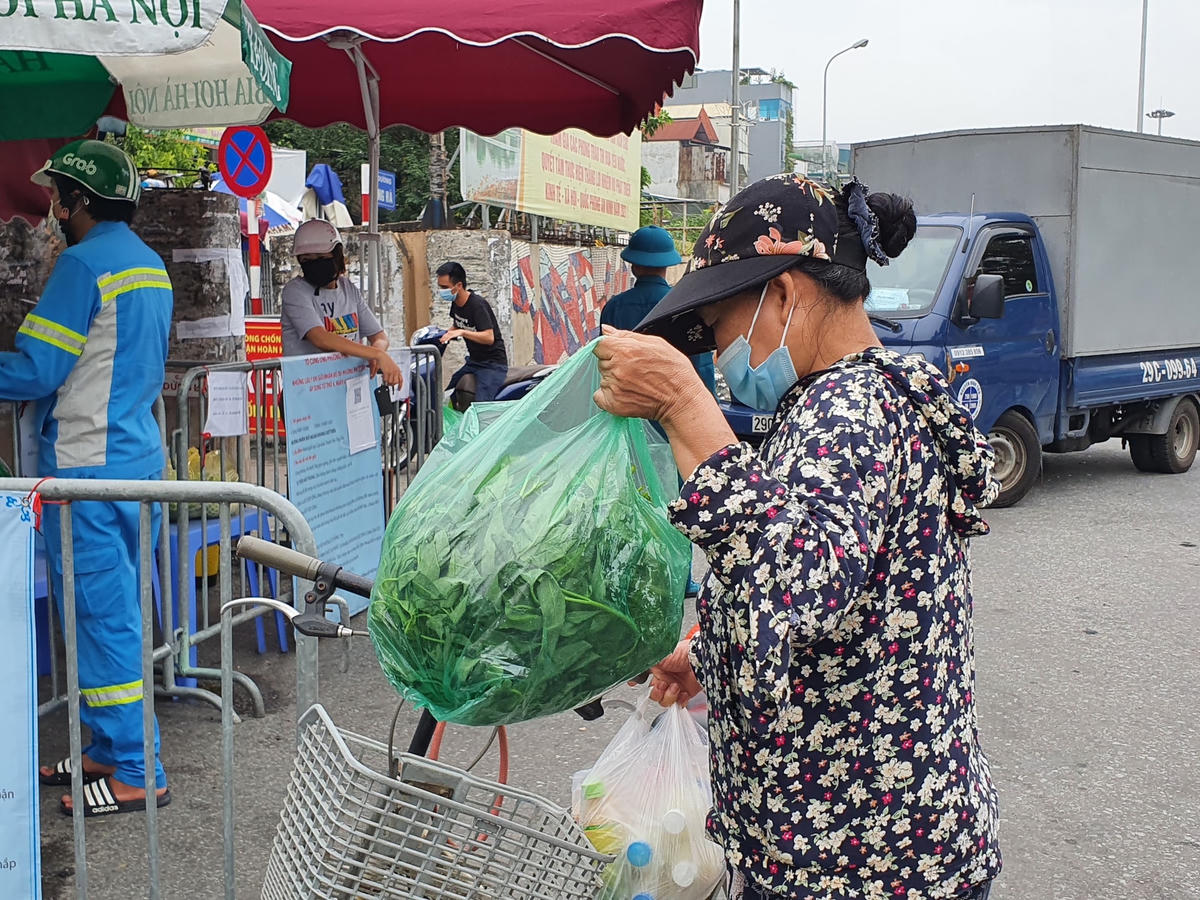 Và cả rau xanh...