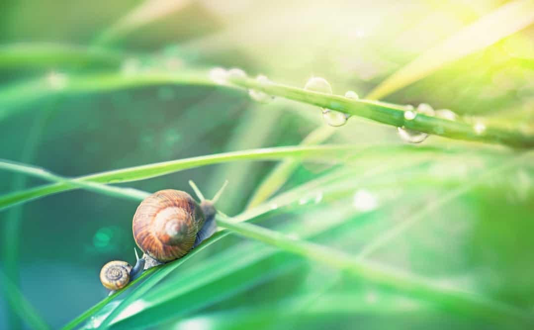 [ẢNH] Những hành vi kỳ lạ nhất trong vương quốc động vật