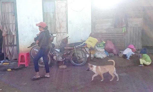 Gần chục người trong cùng thôn Đa Nung B (xã Đợ Đờn, Lâm Hà, Lâm Đồng) đều có triệu chứng bệnh viêm gan A. (Nguồn: nongnghiep.vn).