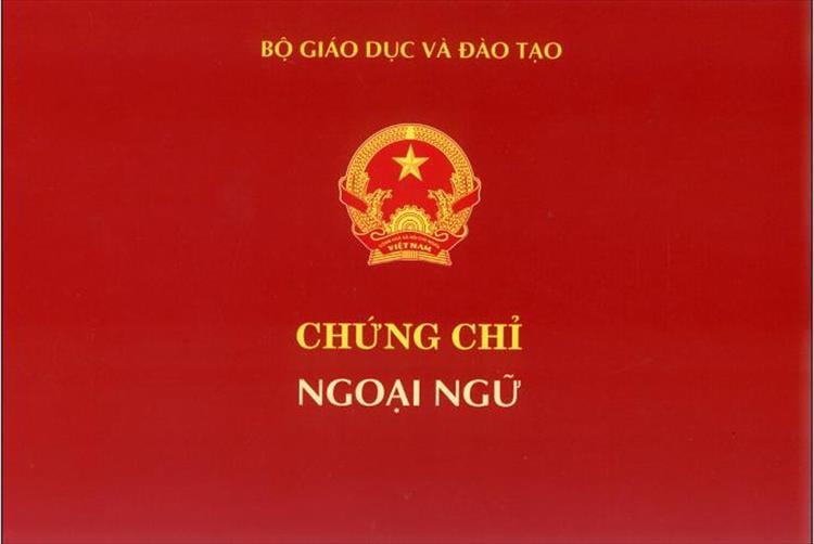 Hiện cả nước có 19 trường được cấp chứng chỉ tiếng Anh theo khung lực 6 bậc. Ảnh minh họa.
