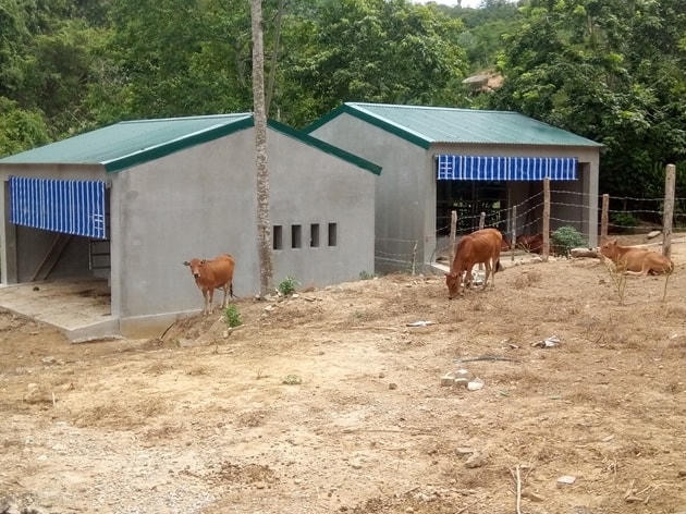 Tại đề án, việc phân bổ gần 13 tỷ đồng xây dựng 67 chuồng bò (trong đó có nhiều chuồng trị giá gần 260 triệu đồng/căn) bị người dân phản ứng là lãng phí.