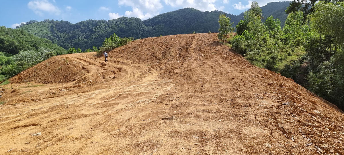 Hiện trạng đất đồi trồng cây lâu năm sau khi bị san gạt, hạ cốt nền. Ảnh: Hà An.