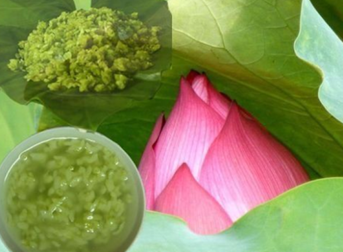 Cháo đậu xanh lá sen tác dụng giải nhiệt, giải khát, phòng chống say nắng. Thích hợp với người tăng huyết áp, mỡ máu cao, béo phì.