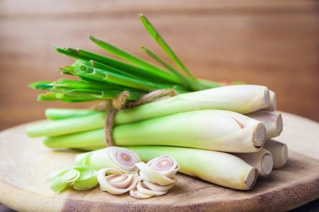 Sả có nhiều công dụng quý nhưng không phải ai cũng dùng được.