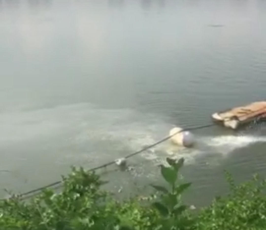 Hình ảnh xả thải phía sau nhà máy chế biến cá Long Hải vào ngày 3/8 mà người dân ghi nhận lại.