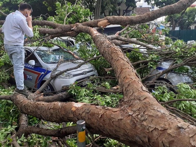 Hiện trường sự việc (Ảnh: T.T).  