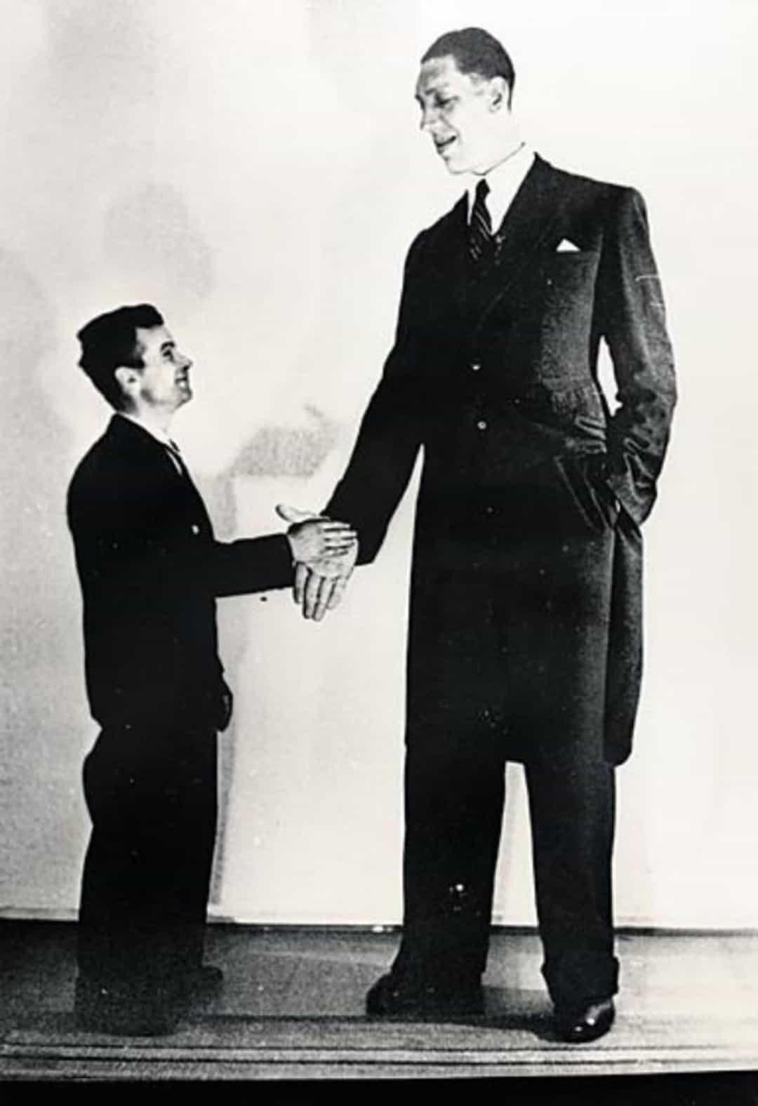 Những người ‘khổng lồ’