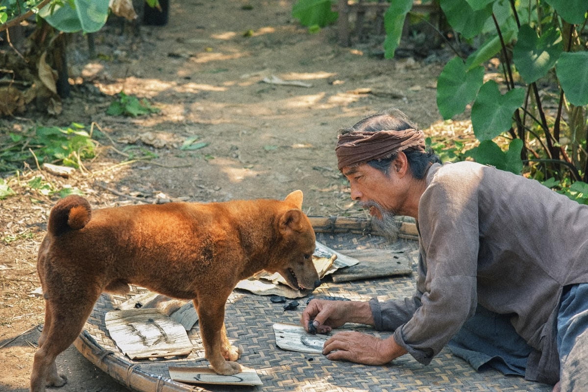 Phim ‘Cậu Vàng’ tung teaser trailer khiến người xem rưng rưng xúc động