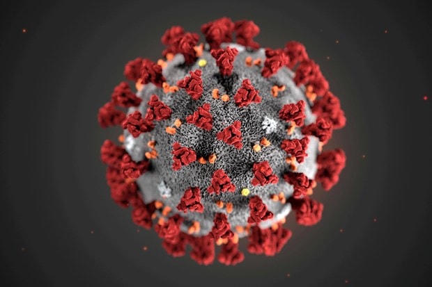 Giới khoa học phát hiện 'gót chân Achilles của virus SARS-CoV-2'