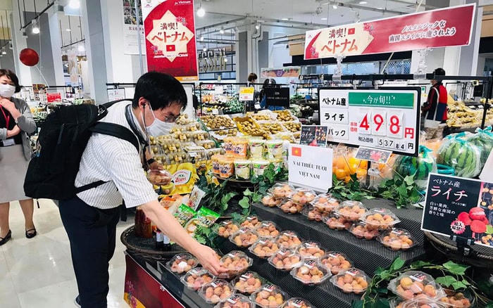 Vải thiều sang thị trường Nhật Bản được bán với giá cao.