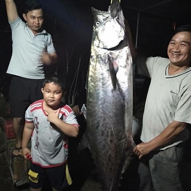 [VIDEO] Xôn xao câu chuyện cần thủ tóm gọn con cá 'khủng' bơi lạc vào bờ
