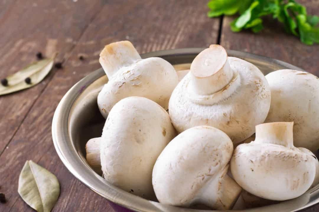 Nấm trắng là một loại thực phẩm rất ngon chỉ chứa 15 calo trong mỗi 70g.  