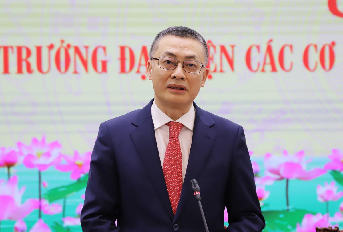 Thứ trưởng Bộ Ngoại giao Vũ Quang Minh phát biểu tại hội nghị.