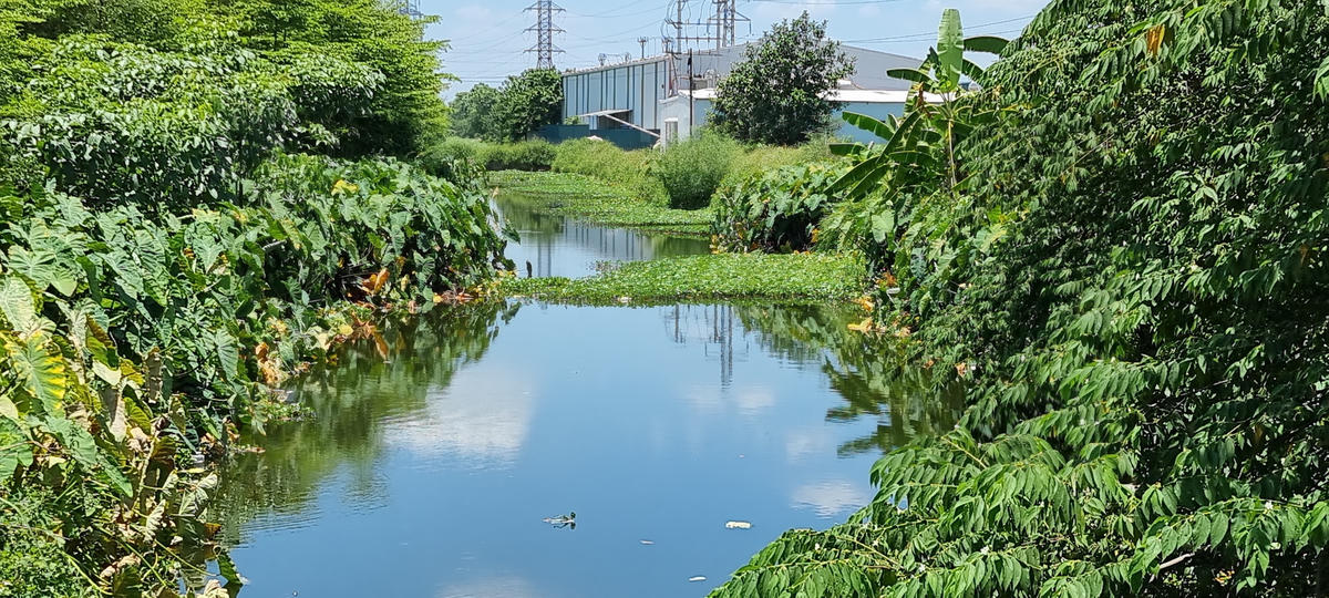 Kênh T11 chạy dọc KCN Đại Đồng - Hoàn Sơn. Ảnh: Nam Anh.