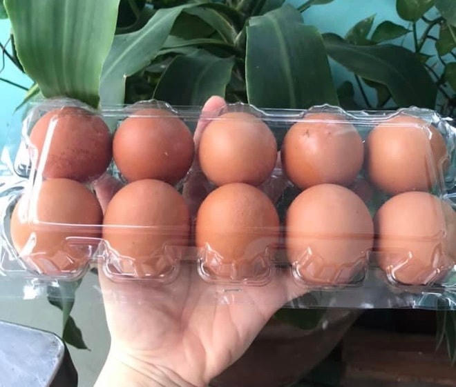 Một số siêu thị ở Hà Nội khuyến cáo mỗi người dân không mua quá 2 vỉ trứng/lần.