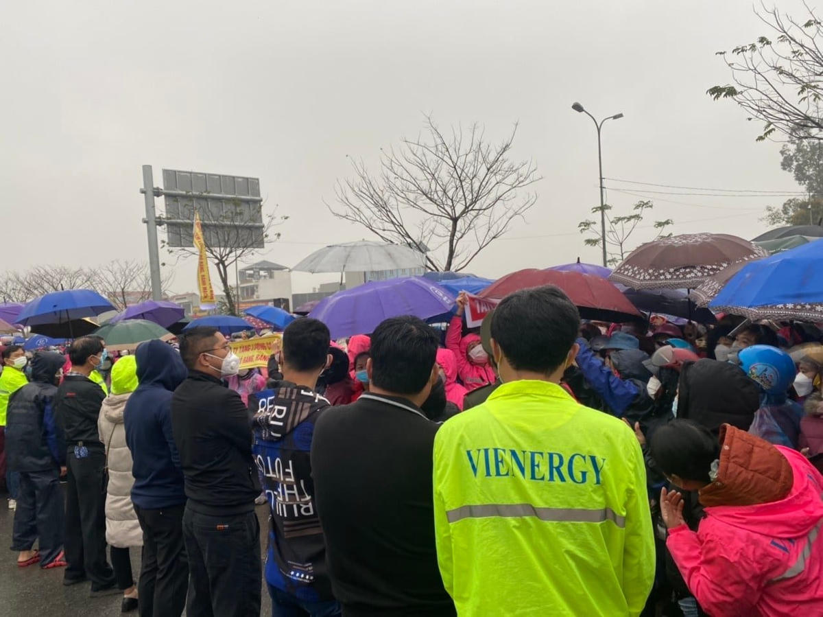 Hơn 5.000 công nhân Công ty Vienergy sẽ trở lại làm việc từ thứ 2 (ngày 14/2).