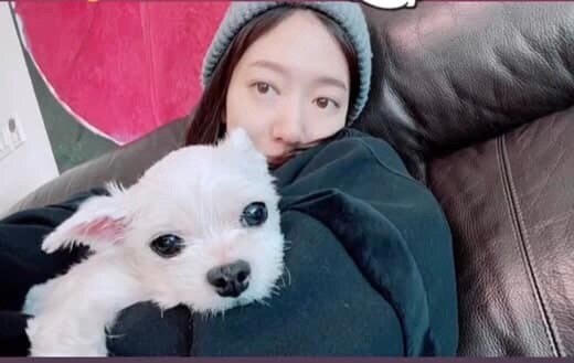 Park Shin Hye để mặt mộc xuất hiện trên mạng xã hội. 