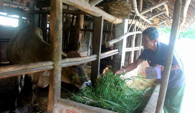 Mở rộng đối tượng tham gia BHXH tự nguyện là giải pháp quan trọng đảm bảo an sinh xã hội 