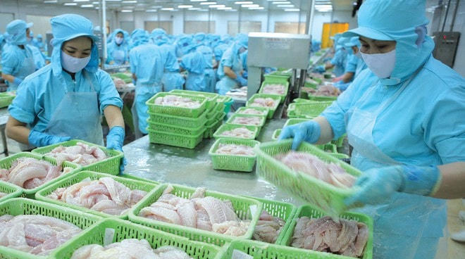 Nhiều DN cho biết, họ vẫn khó làm ăn vì phải qua quá nhiều thủ tục hành chính, giấy phép con.