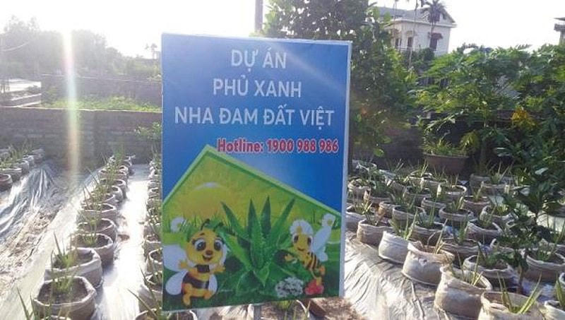 Cơ quan quản lý của tỉnh Hải Dương yêu cầu thanh tra, kiểm tra các điều kiện hoạt động của Công ty CP Biobee Việt Pháp tại dự án "Phủ xanh nha đam đất Việt".