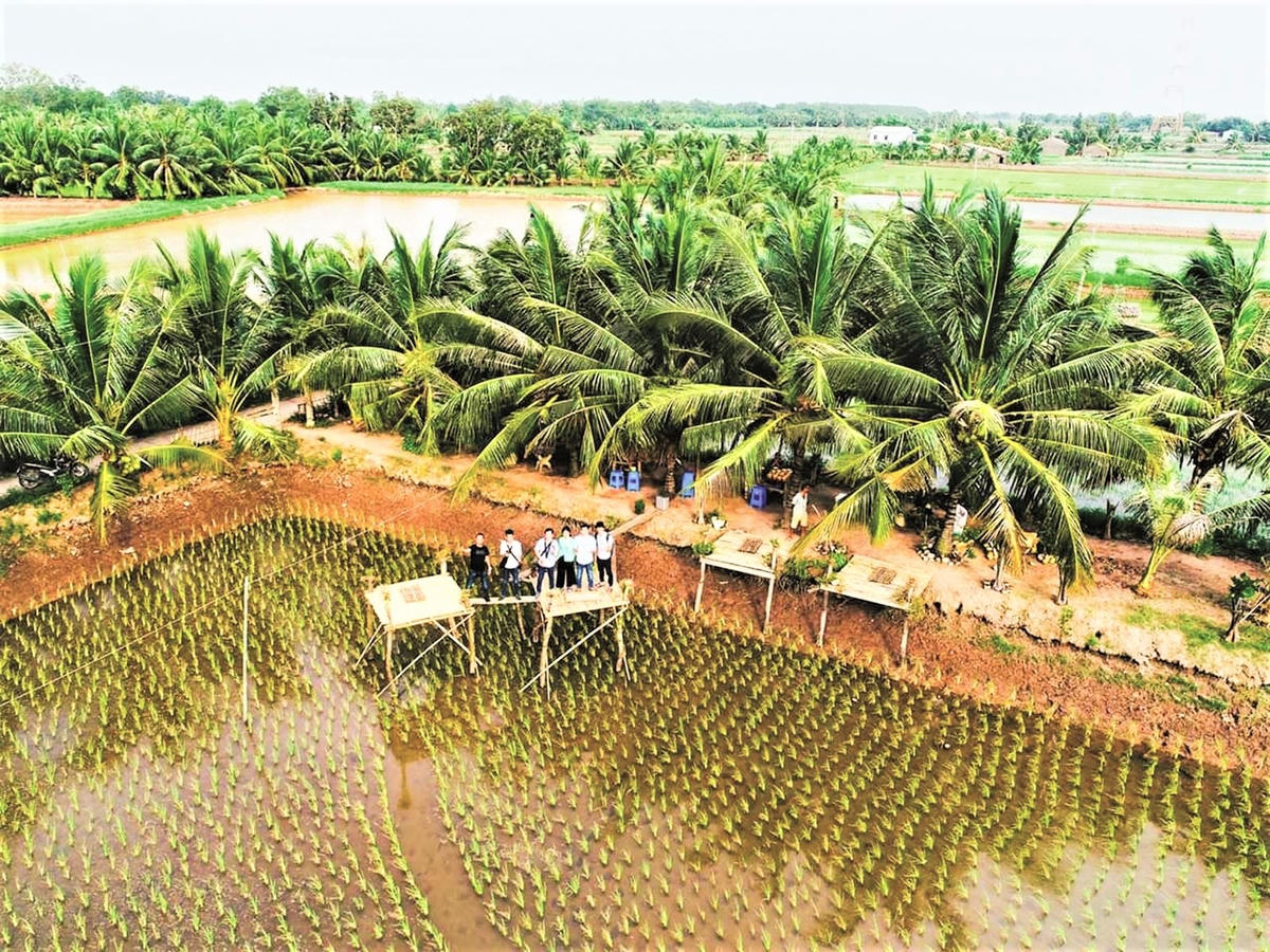 Một điểm du lịch sinh thái - cộng đồng trên Cồn Chim, huyện Châu Thành, tỉnh Trà Vinh.
