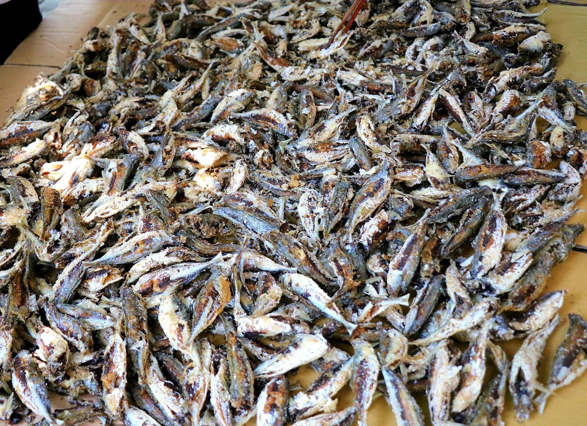 “Khi biết chúng tôi mua cá để gửi vào hỗ trợ người dân vùng dịch tại TP Hồ Chí Minh, chủ tàu và các tiểu thương tại đây đã bán trợ giá. Nhiều người còn tặng thêm", chị Vi cho hay.