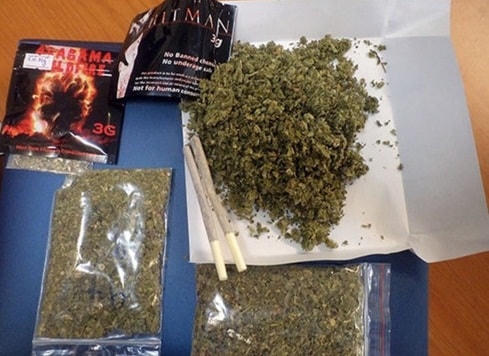 Tài xế dương tính với ma túy khai do tưởng nhầm cỏ Mỹ là thuốc lào. Ảnh minh họa