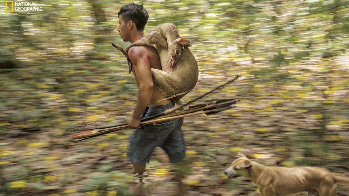 Chiến lợi phẩm từ một cuộc đi săn. Nguồn: National Geographic.
