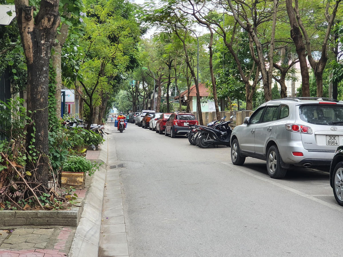 Trên đường được trồng rất nhiều cây xanh.