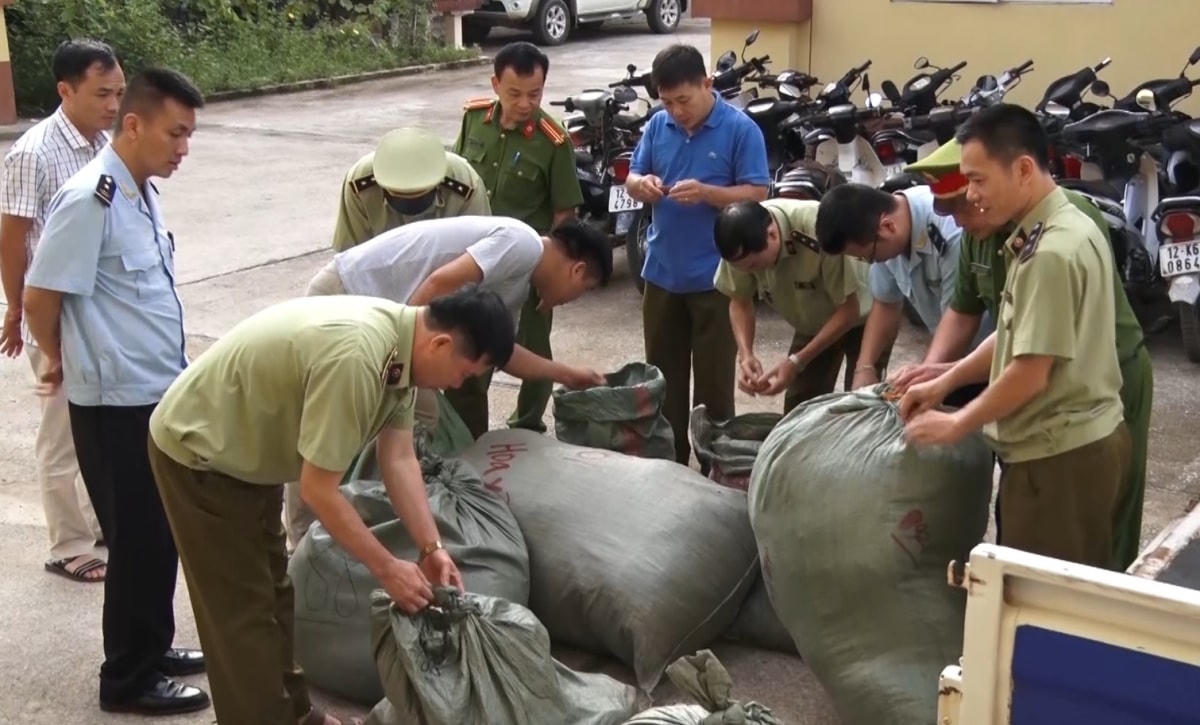 Lực lượng chức năng kiểm đếm số lượng nguyên liệu thuốc bắc bị thu giữ.