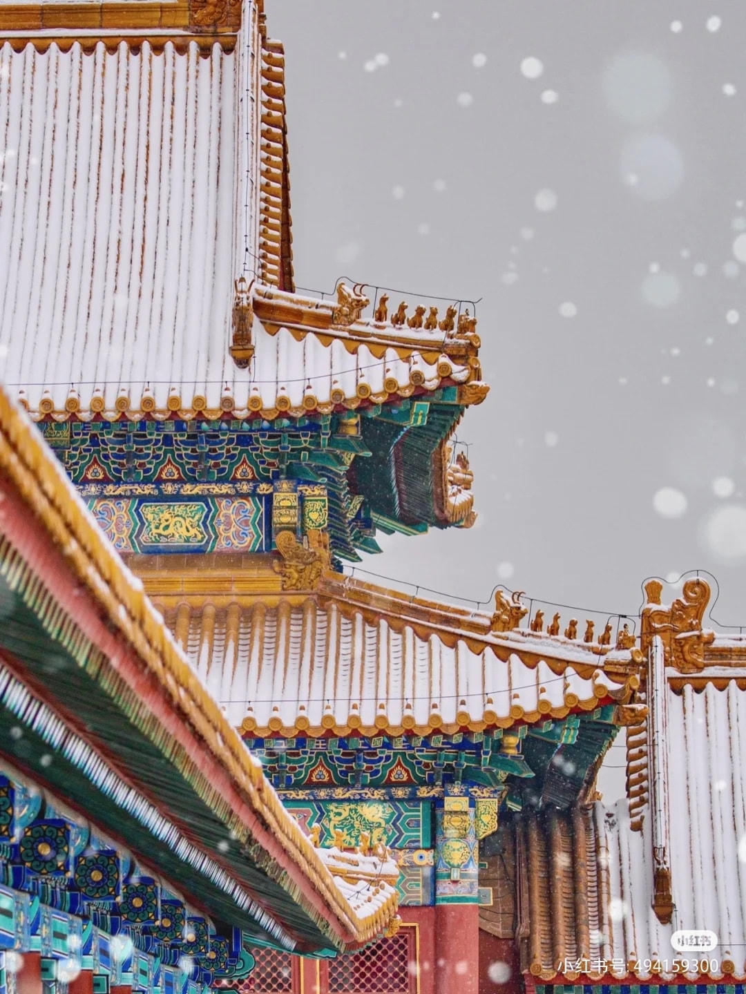 Mưa tuyết bay, ánh mặt trời le lói, lặng nghe tiếng băng rơi từ mái hiên. Ảnh: Xiaohongshu.