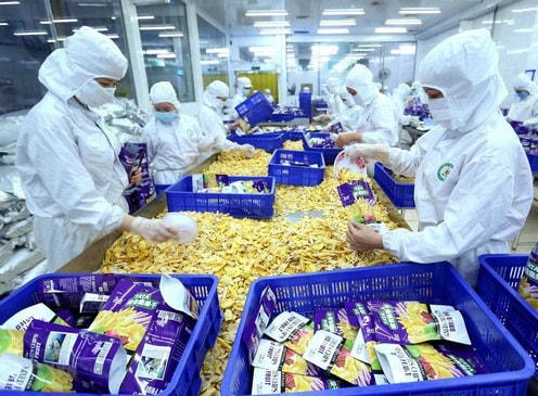 Phát triển công nghệ chế biến nông sản góp phần nâng cao giá trị hàng nông sản đồng thời tạo việc làm cho nhiều lao động.