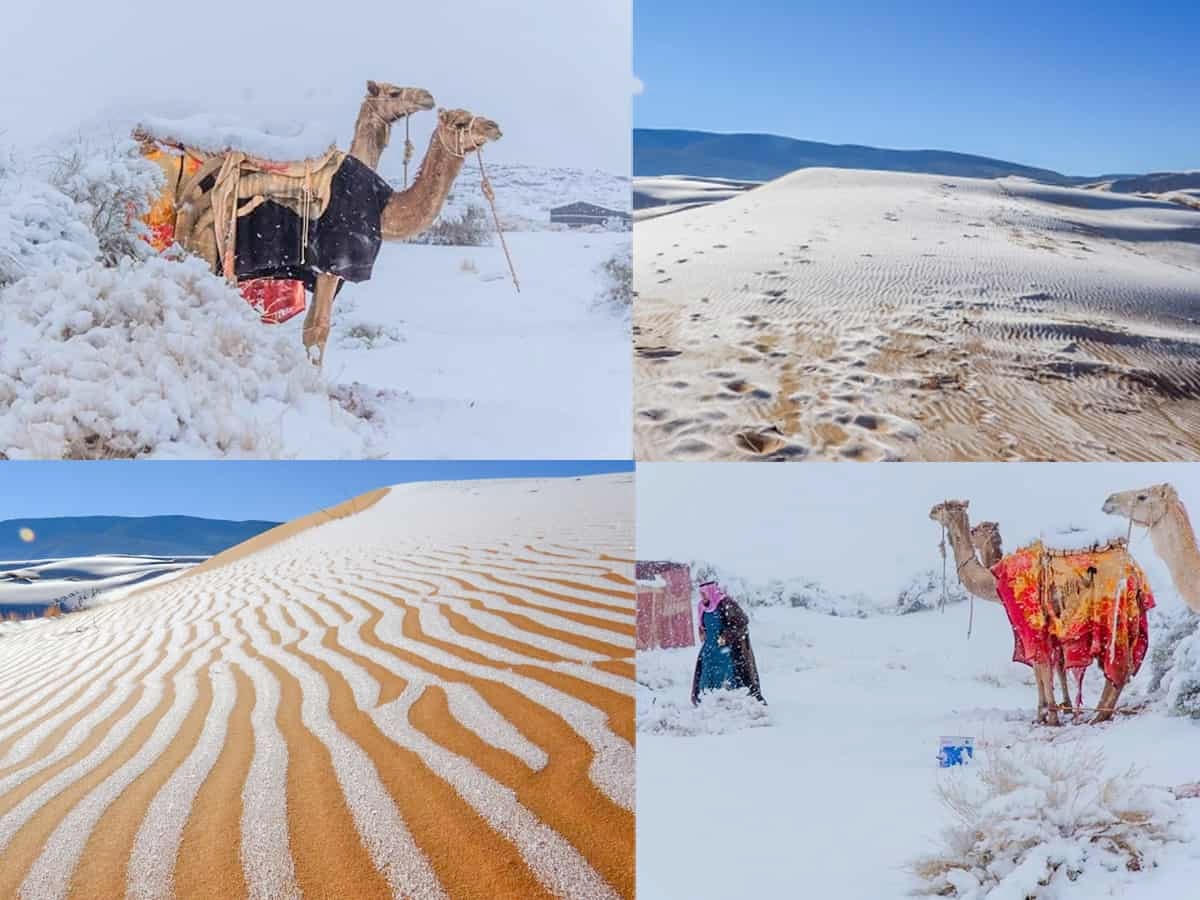 Sa mạc tại thị trấn Ain Sefra ở Algeria đã từng nhiều lần chứng kiến tuyết trắng phủ kín sa mạc. Ảnh: Siasat.