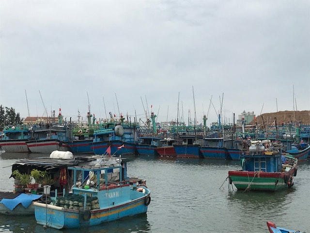 Nhiều tàu cá ngư dân đã neo đậu an toàn tại Cảng cá Quy Nhơn chiều 27/10.