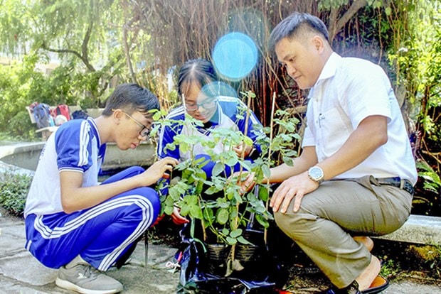 Thầy giáo hướng dẫn cùng Thái và Ngân nghiên cứu cây hoa hồng. (Nguồn: Báo Khánh Hòa).