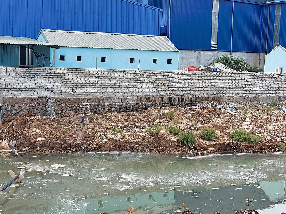 Váng nước màu trắng nổi lềnh phềnh phía sau nhà máy chế biến cá Ngọc Sơn.