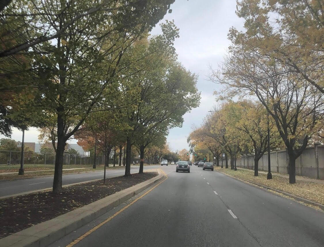 Những con đường ở Illinois vắng bóng xe qua lại.