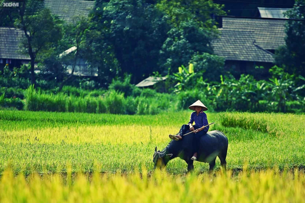 Ảnh minh họa. (Nguồn: Xóm Nhiếp ảnh).