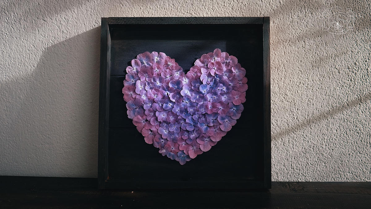 Hoa cẩm tú cầu được làm khô bằng phương pháp sử dụng hạt hút ẩm chuyên dụng, giữ nguyên được màu sắc. Ảnh: NVCC. 