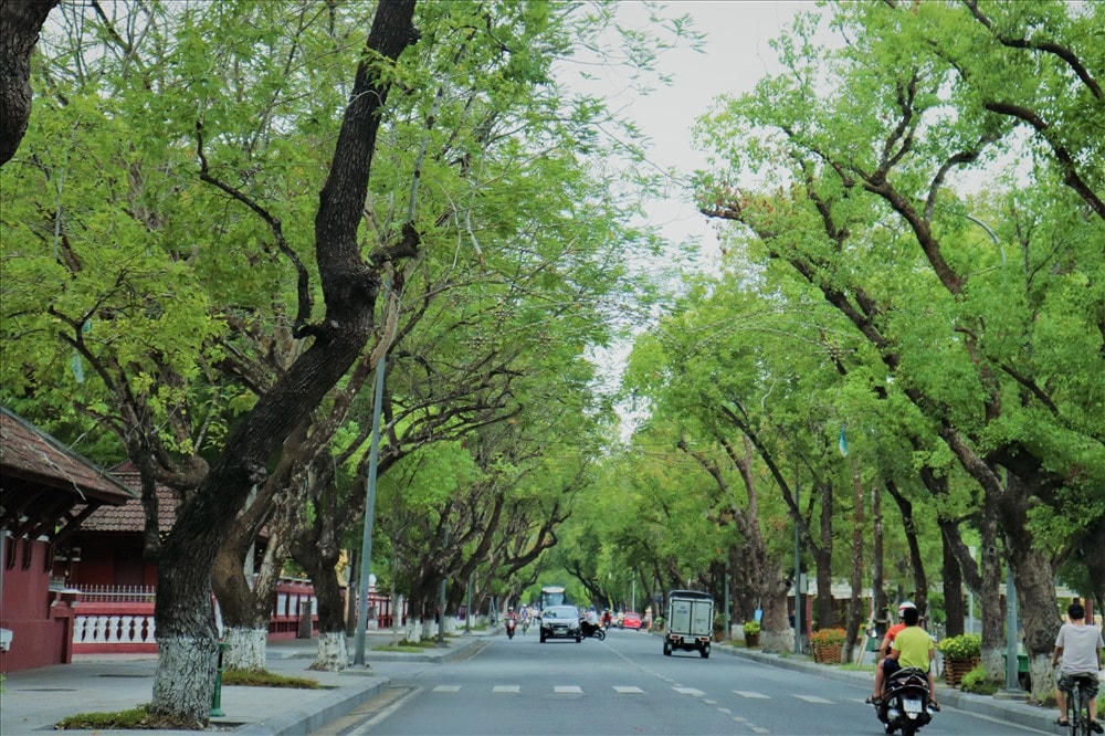 Đường Lê Lợi- một trong những con đường đẹp nhất của Huế.