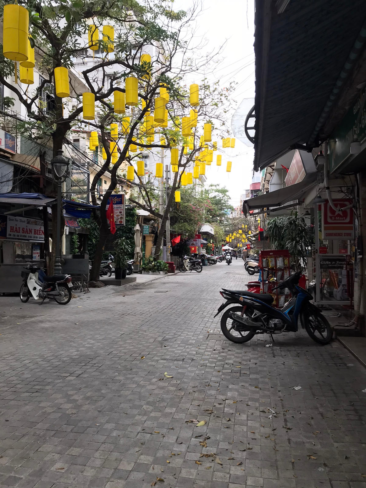 Loạt quán ăn tại phố Tống Duy Tân đều đóng cửa. Ảnh: L.A.