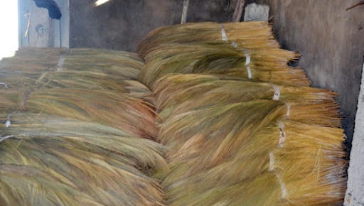 Sản xuất chổi đót giúp giải quyết việc làm cho nhiều lao động địa phương.