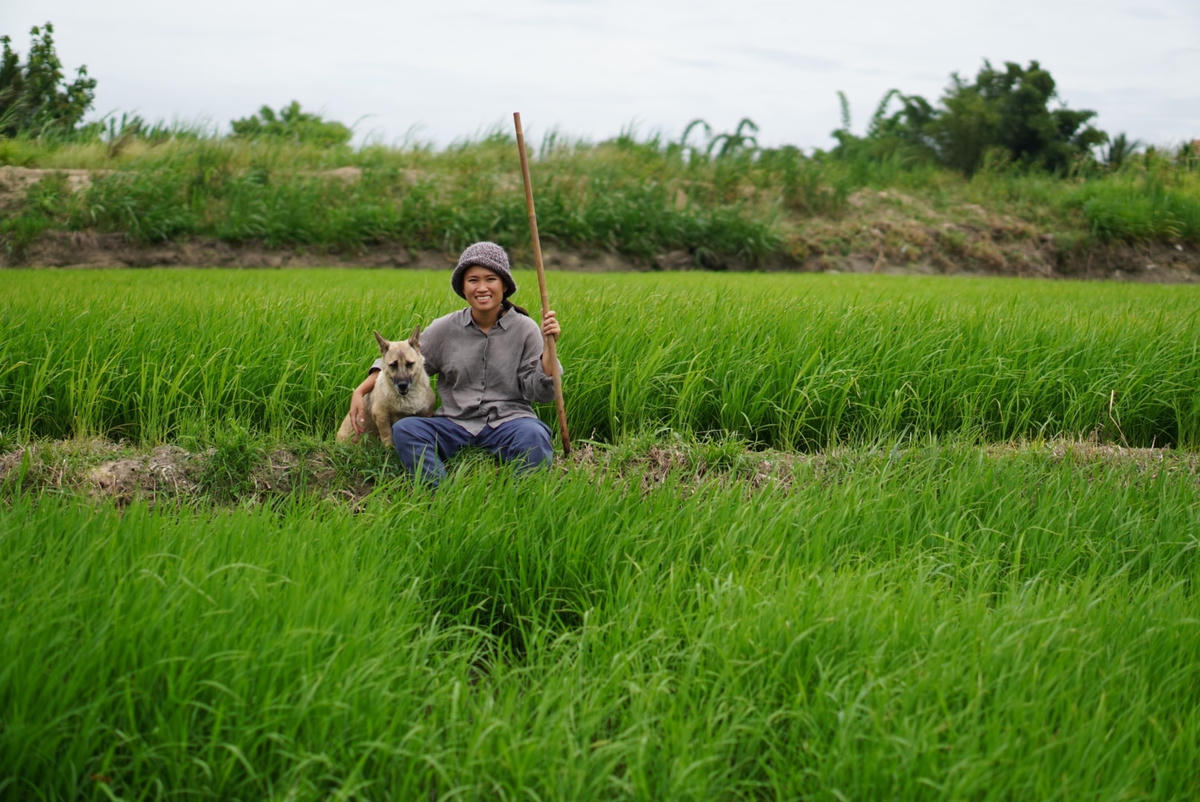 Hình ảnh làng quê Việt Nam hiện lên bình dị mà thân thương. Ảnh: NVCC. 