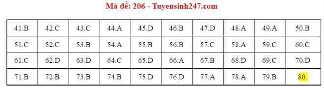 Đáp án tham khảo đề thi môn Hóa học THPT Quốc gia mã đề 206.
