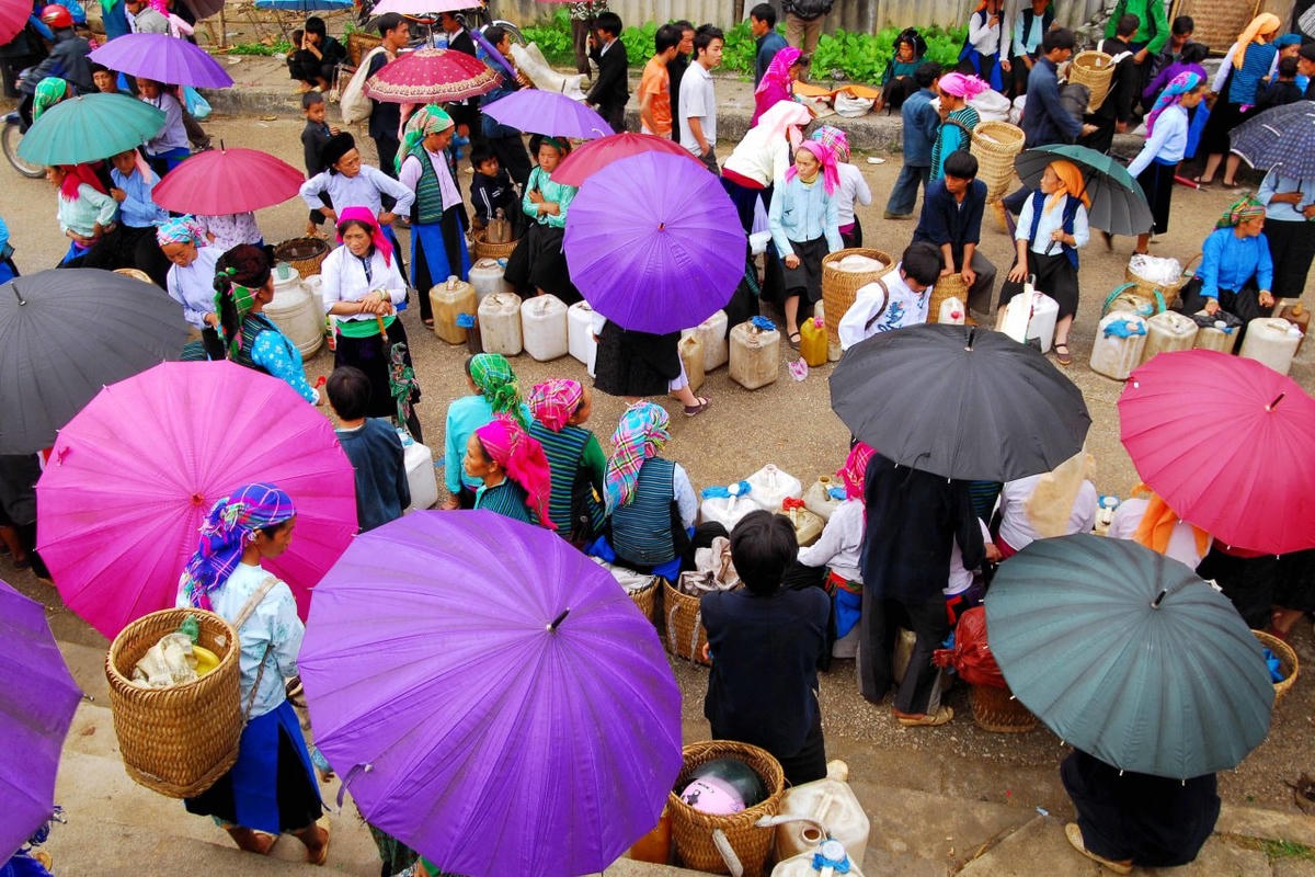 Thời điểm này, vùng núi cao phía Bắc là điểm đến yêu thích. Ảnh: Vũ Đức Phương.