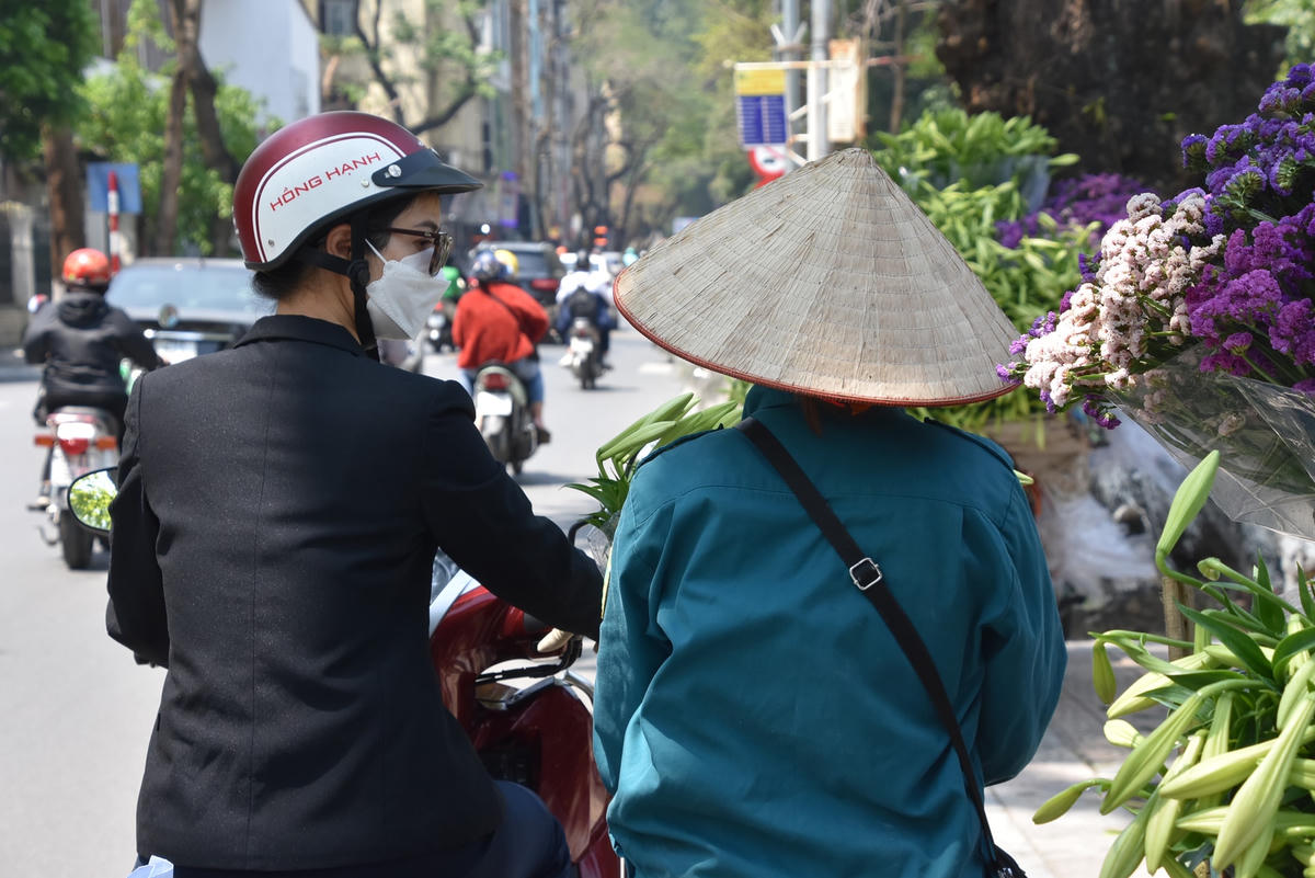 [ẢNH] Loại hoa đầu mùa khiến dân Hà Nội phải 'săn lùng'
